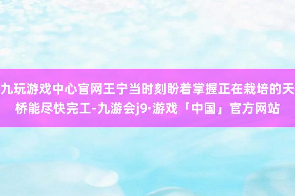九玩游戏中心官网王宁当时刻盼着掌握正在栽培的天桥能尽快完工-九游会j9·游戏「中国」官方网站