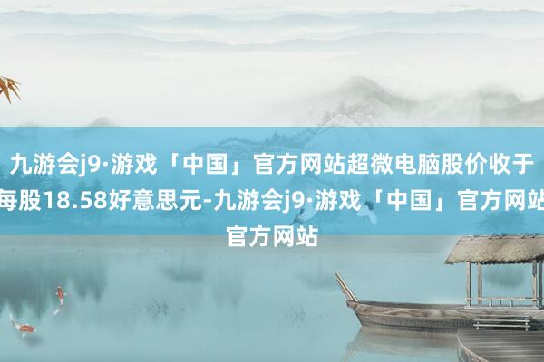 九游会j9·游戏「中国」官方网站超微电脑股价收于每股18.58好意思元-九游会j9·游戏「中国」官方网站