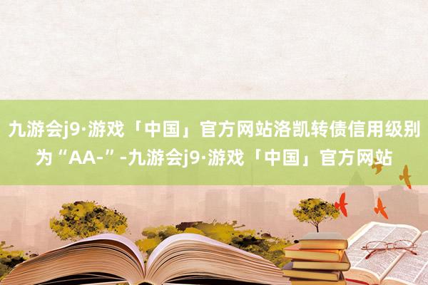 九游会j9·游戏「中国」官方网站洛凯转债信用级别为“AA-”-九游会j9·游戏「中国」官方网站