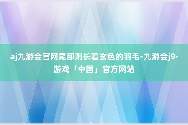 aj九游会官网尾部则长着玄色的羽毛-九游会j9·游戏「中国」官方网站