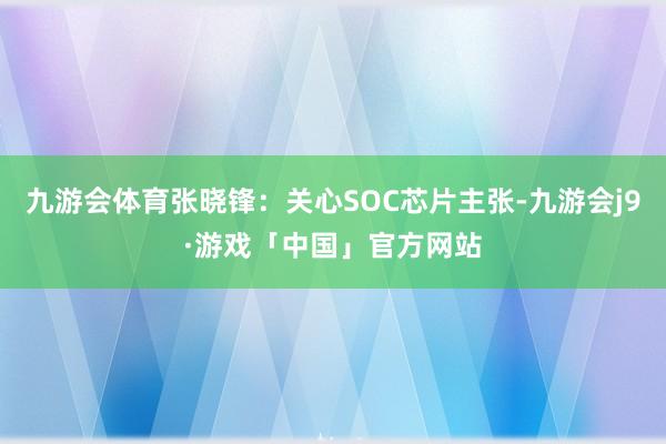 九游会体育张晓锋：关心SOC芯片主张-九游会j9·游戏「中国」官方网站