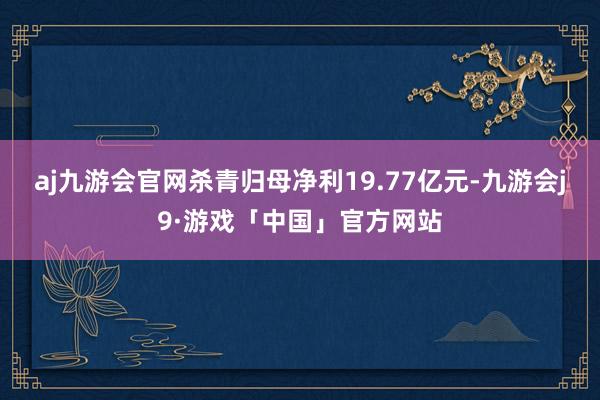 aj九游会官网杀青归母净利19.77亿元-九游会j9·游戏「中国」官方网站